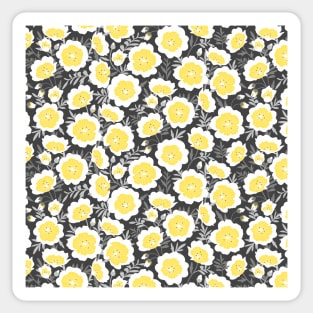 Limnanthes flower pattern Sticker